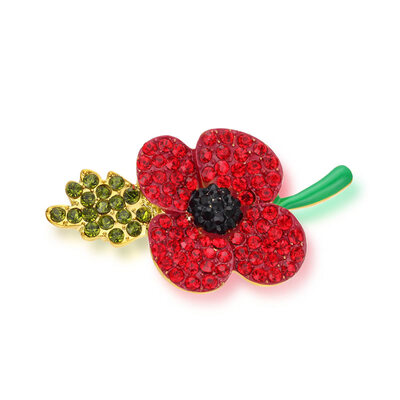 

Yoursfs@ Wedding Red Flower Brooches Pins Fashion Jewelry Brooches Kate Princess Memorial Enamel Brooches for Women