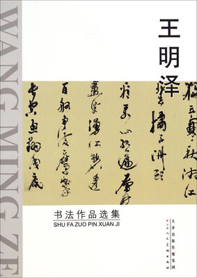 

王明泽书法作品选集