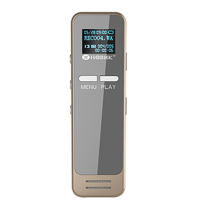 

Кольцо (HBNKH) Н-R200 записи пера 8G HD Noise профессиональной золотой записи