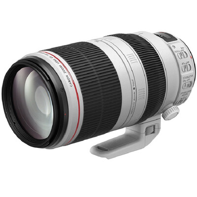 

Canon (Canon) EF 100-400mm F / 4.5-5.6L IS II USM объектив телеобъектив