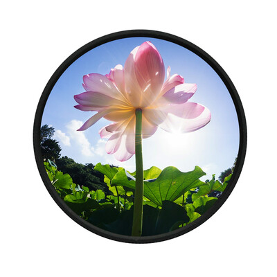 

Early man UV filter polymerize filter
