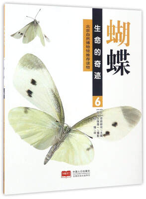 

蝴蝶/生命的奇迹