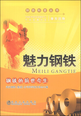 

钢铁科普丛书魅力钢铁