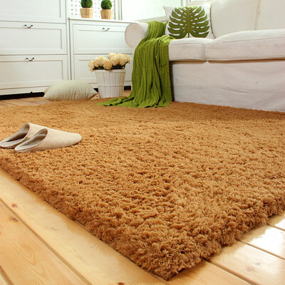 

Rich home FOOJO beautiful velvet thickened living room bedroom carpet 140 200cm champagne