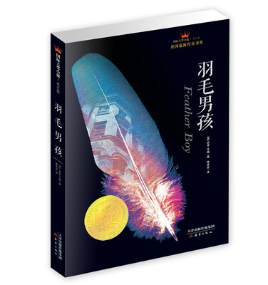 

国际大奖小说·成长版--羽毛男孩