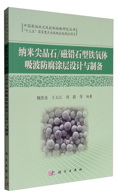 

纳米尖晶石/磁铅石型铁氧体吸波防腐涂层设计与制备