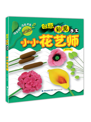 

创意彩泥手工 小小花艺师