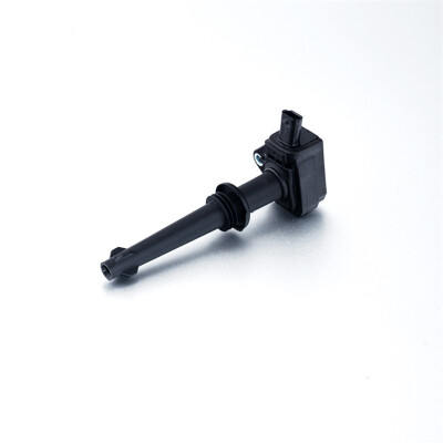 

Ignition Coil Fits JAGUAR Xf Xk LAND ROVER Discovery Range 5.0L 2009-