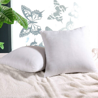 

Jia Bai pillow core feather filling sofa cushion core pillow core 50 50cm Jingdong own brand to defend the price Jingdong own brand