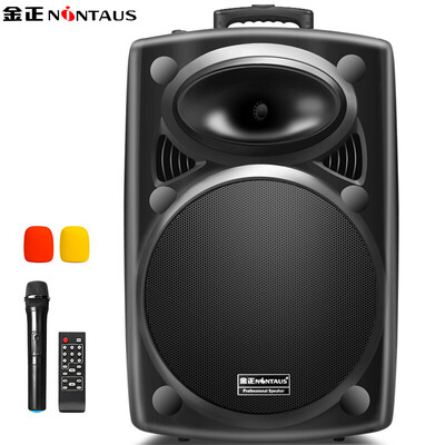 

Jinzheng NINTAUS N16 double 5 inch square dance audio Bluetooth outdoor lever speaker portable microphone