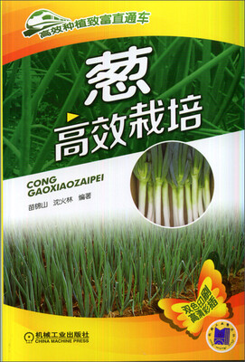 

高效种植致富直通车：葱高效栽培