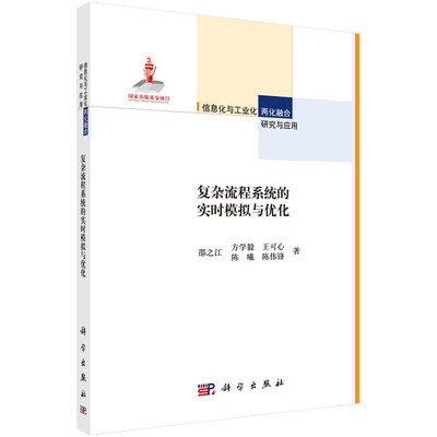 

复杂流程系统的实时模拟与优化