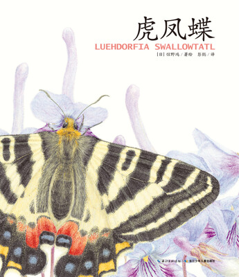 

馆野鸿科学绘本·虎凤蝶（平装）