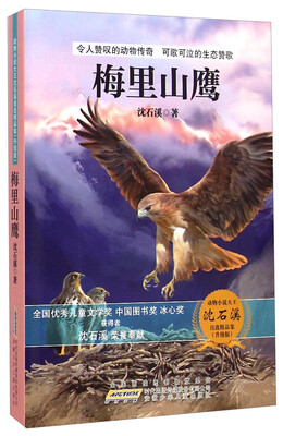 

动物小说大王沈石溪自选精品集：梅里山鹰（升级版）