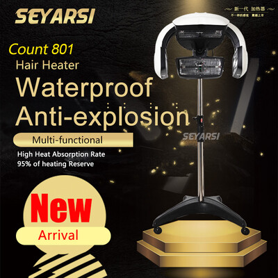 

2017 New Arrival Salon Use Hair Heater Hair Dryer Hair Perm accelarator Count 801
