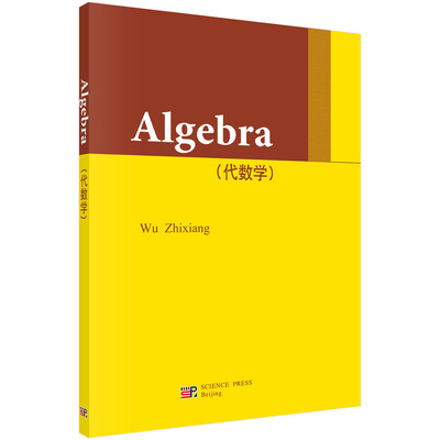 

大学数学科学丛书：代数学（英文版）