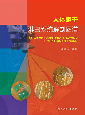 

人体躯干淋巴系统解剖图谱
