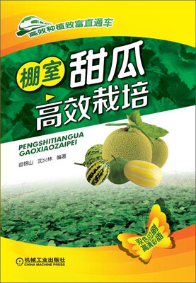 

高效种植致富直通车棚室甜瓜高效栽培