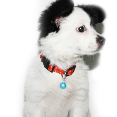 

Hanhan Park Dog Collar Cat Collar Dog Dog Cartoon Bell Collar Lanyard Pet Tank Necklace Teddy Dog Pet Cat Bell Dog Jewelry Accessories Striped 15cm-30cm