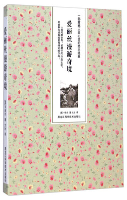 

爱丽丝漫游奇境