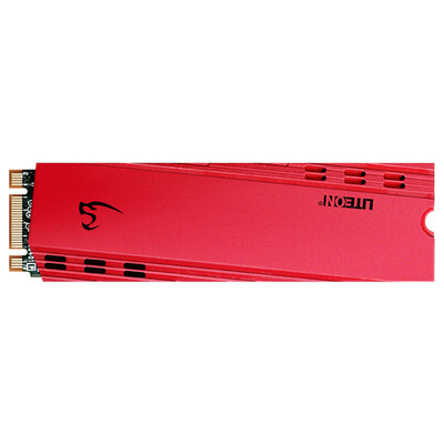 

Lite (LITEON) Rui series T11 256G .2 NVMe solid state hard drive (with heat sink