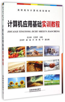 

计算机应用基础实训教程/高职高专计算机规划教材