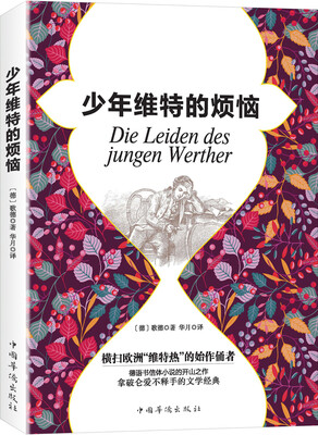 

少年维特的烦恼
