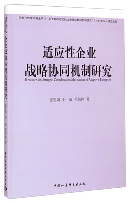 

适应性企业战略协同机制研究