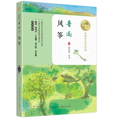 

风筝暖心美读书名师导读美绘版