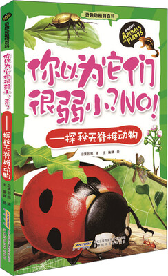 

奇趣动植物百科 你以为它们很弱小？NO！：探秘无脊椎动物