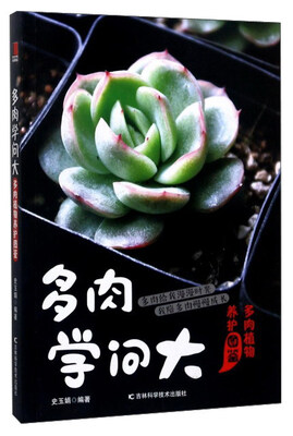 

多肉学问大 多肉植物养护图鉴