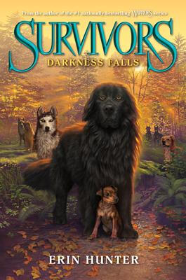 

Survivors 3 Darkness Falls