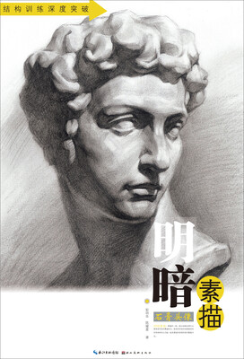 

明暗素描：石膏头像/结构训练深度突破