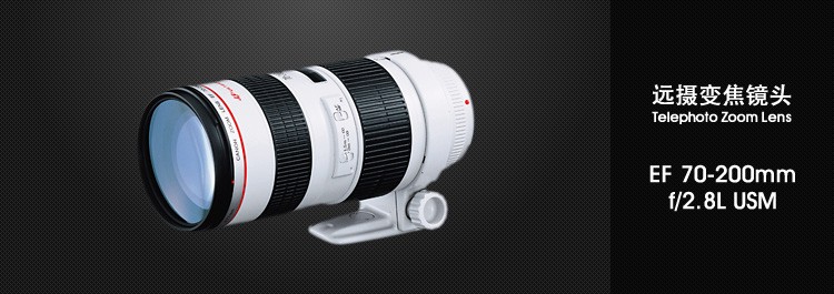 
                                                            佳能（Canon）EF 70-200mm f/2.8L USM 单反镜头 远摄变焦镜头 70200小白                