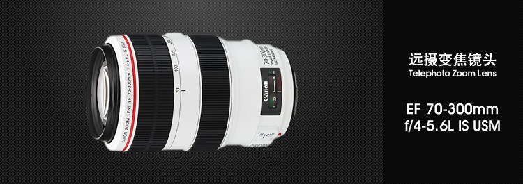 
                                                                                佳能（Canon）EF 70-300mm f/4-5.6L IS USM 单反镜头                