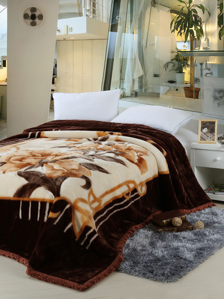 彩阳双人加厚超柔拉舍尔毛毯盖毯 毯子4.0kg