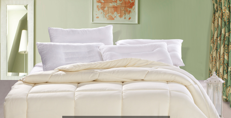 锦佩 床品家纺 精致蚕宝丝柔双人被3367白色200*230cm