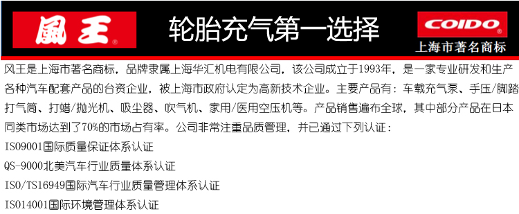 风王（COIDO） 6225 12伏特轮胎充气机 （黑色）