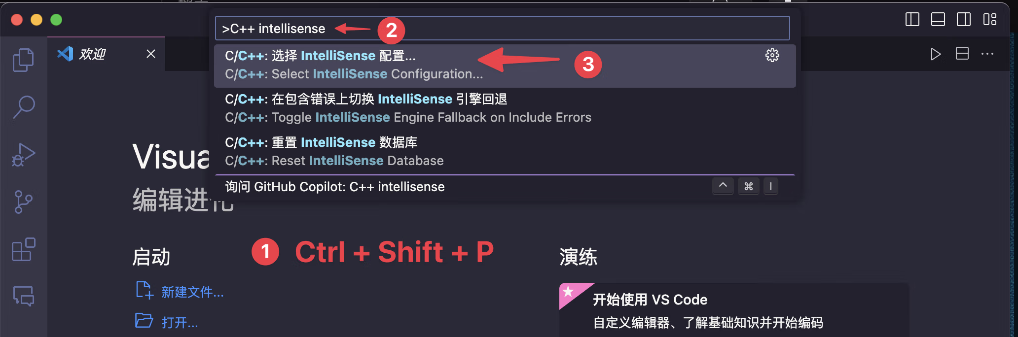 Selecting IntelliSense configuration in VSCode