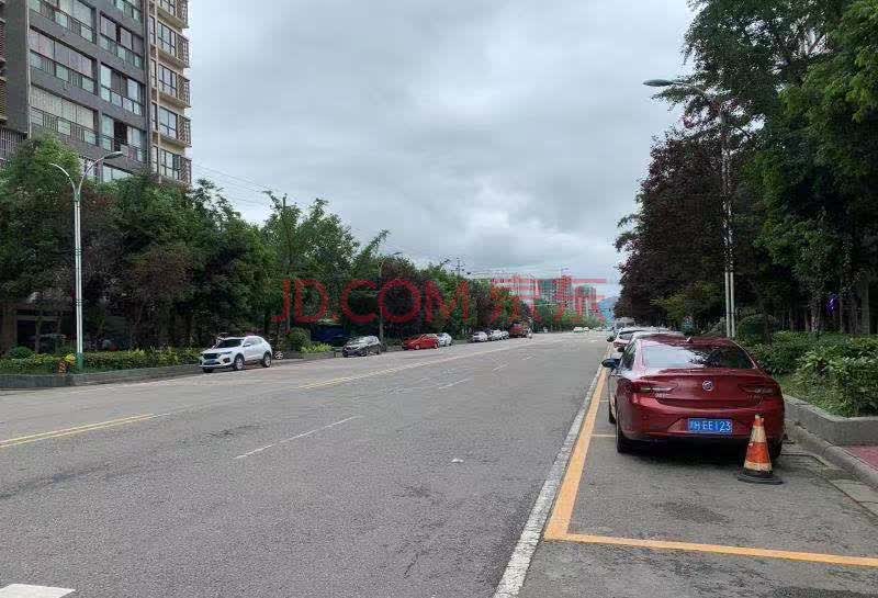 出具(四川大成(2020)房字第10023号)苍溪法院-苍溪县陵江镇肖家坝大道