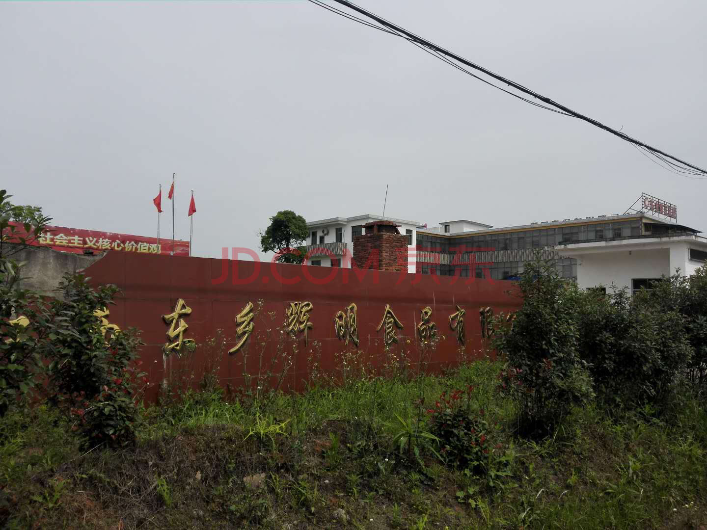 【变卖】 江西省抚州市东乡县渊山岗工业园区内一处工业房地产