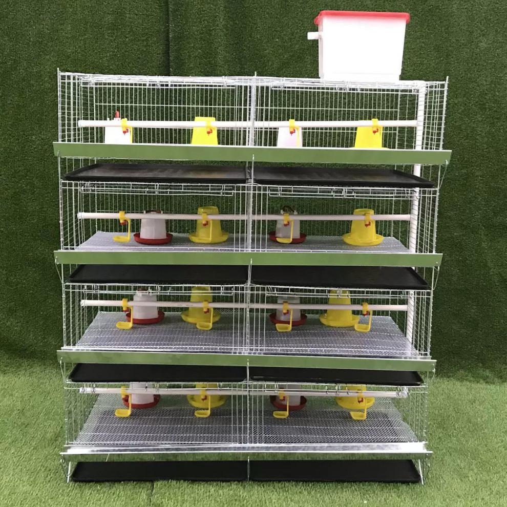 清仓加密小鸡笼育雏笼养殖雏鸡笼子鹌鹑笼鸭苗小鸭子笼芦丁鸡笼子