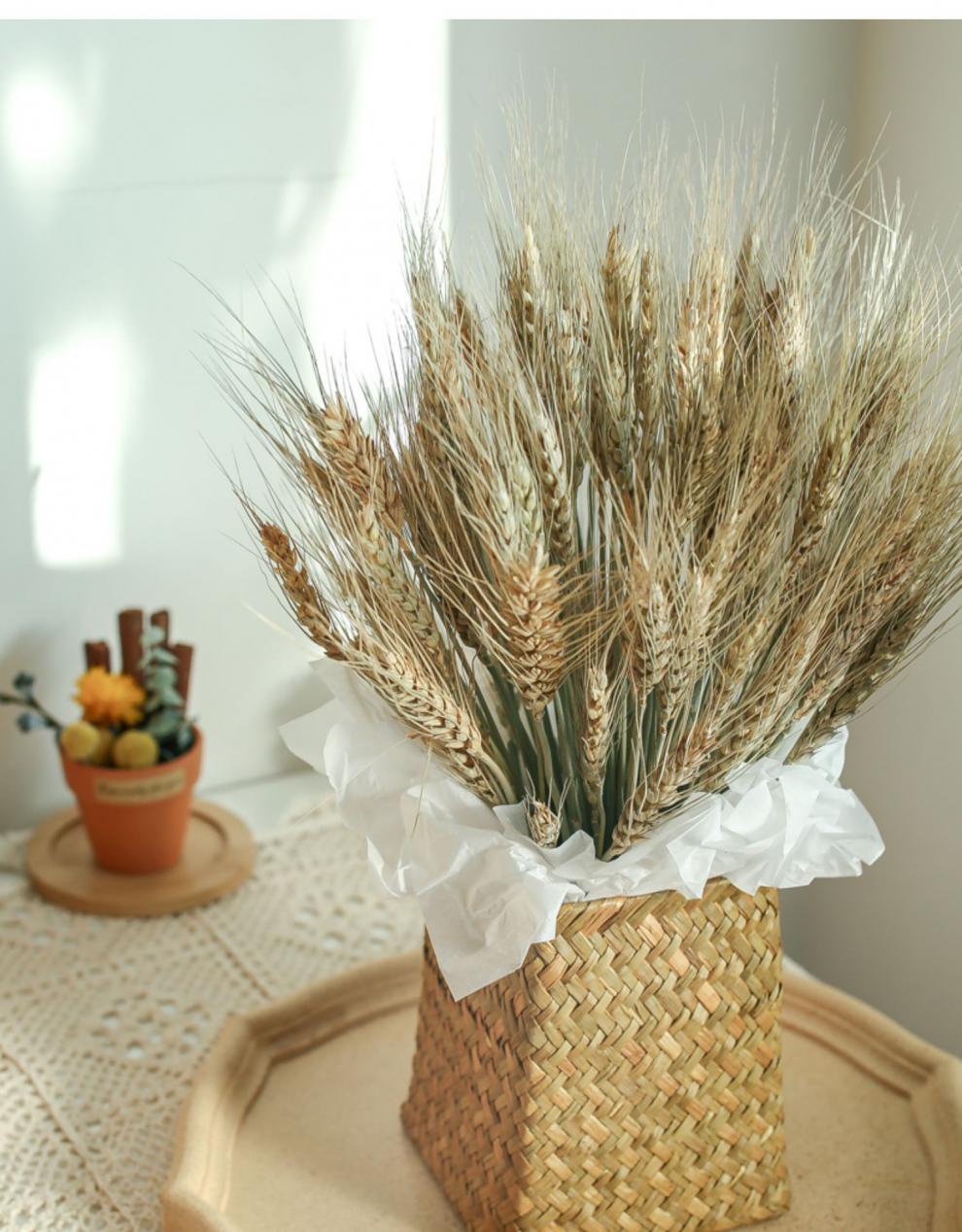 2022新款麦穗干花花束客厅摆设家居小麦装饰真花干枝昆明带瓶南栖于野