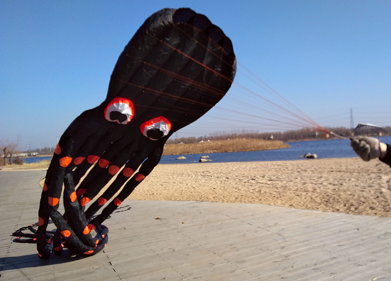 迪士尼官方官网红阳3d立体软体大型成人风筝八爪筒章鱼风筝8015米线轮