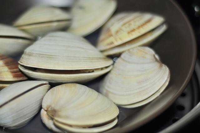 超大蛤蜊510斤本地无沙新鲜花甲蛤美贝海鲜水产5斤保温箱冰袋发货