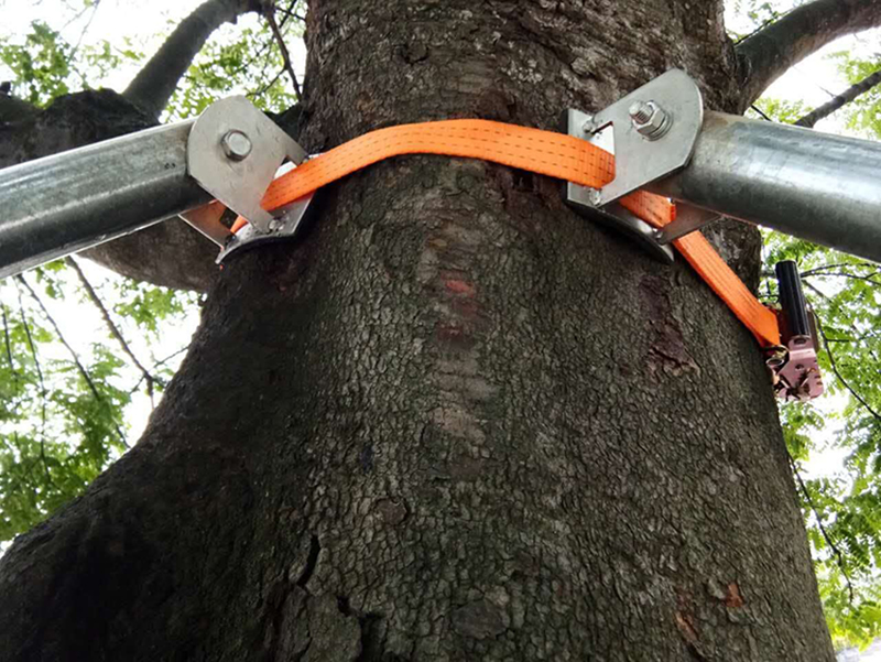 树木支撑架固定器树木支撑架钢管固定紧带式抱箍树撑园林绿化防风防倒