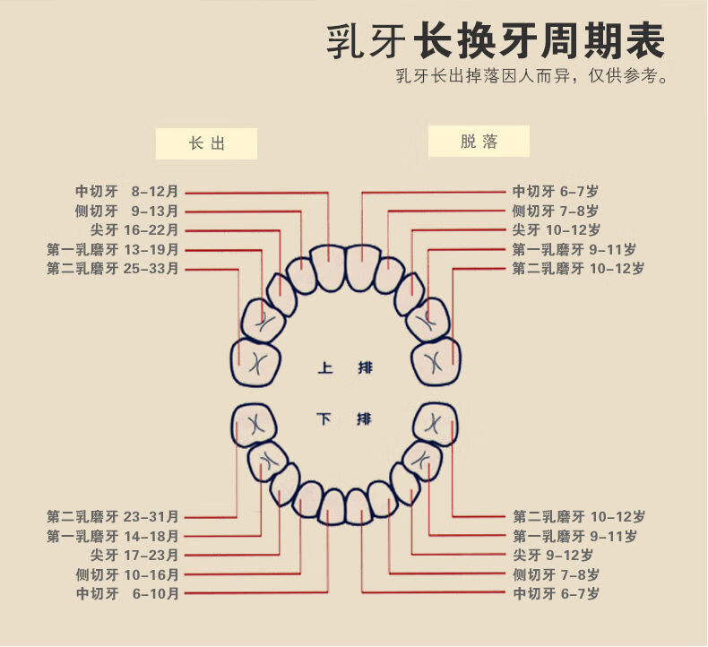 佟年 乳牙盒牙齿盒儿童乳牙纪念宝宝牙齿保护实木相机乳牙盒 拍立得