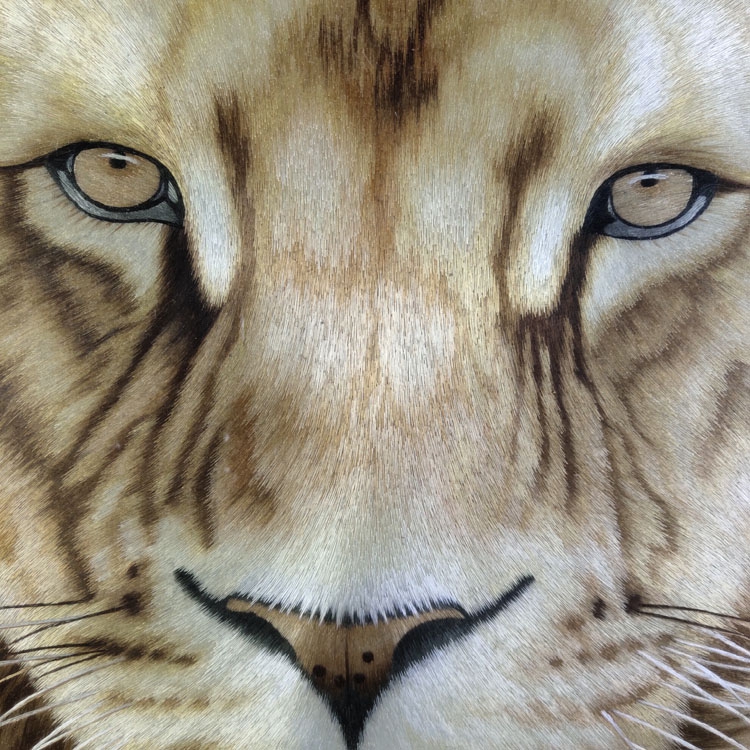 品绣者湘绣吴峣工笔作品动物雄风狮子雄狮单面绣客厅装饰画卧室书房