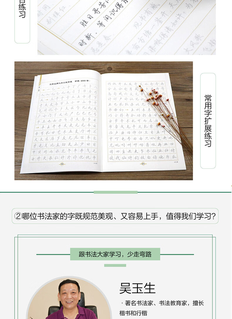 吴玉生行楷钢笔字帖行楷一本通成人30天速成计划大学生女生男生初学者
