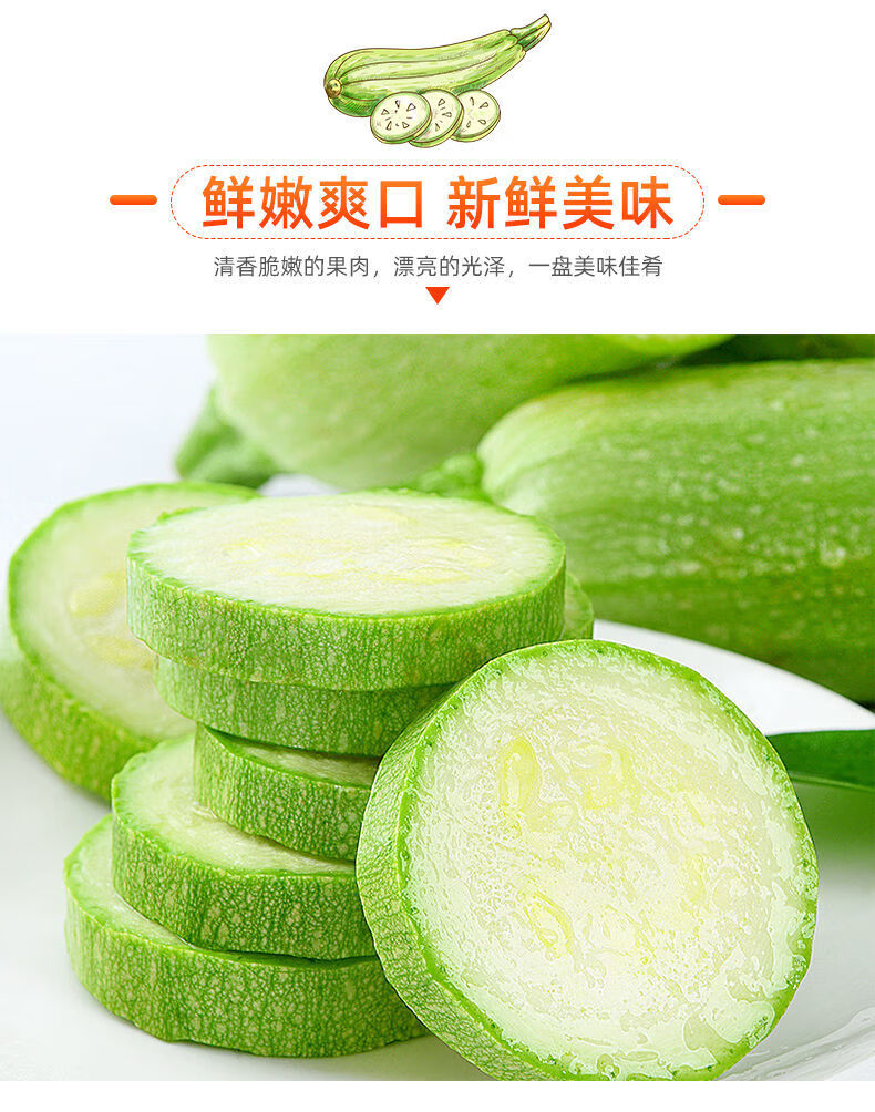 云南新鲜西葫芦小瓜新鲜蔬菜三月瓜小嫩瓜白角瓜菜瓜番瓜西葫芦带箱